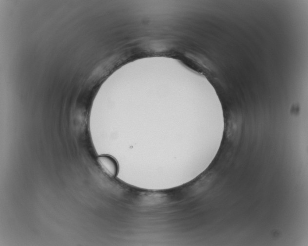 X0000112870476200909181828