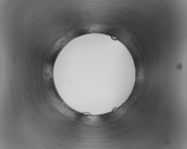 X0000112870478200909181828