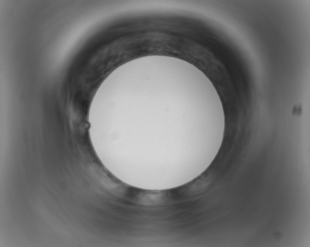 X0000112870479200909181829