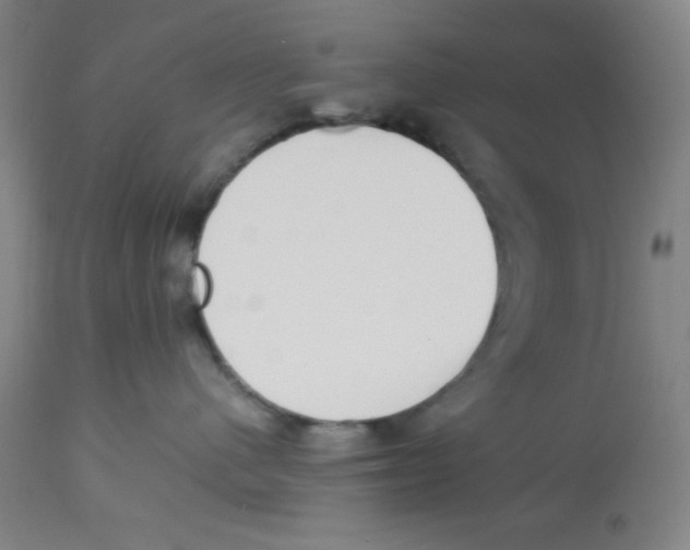 X0000112870480200909181829