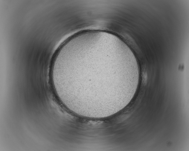 X0000112870484200909181828