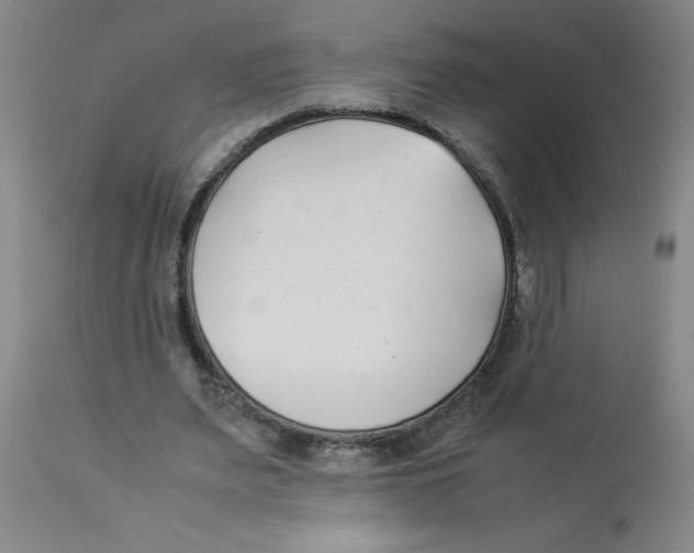 X0000112870487200909181828