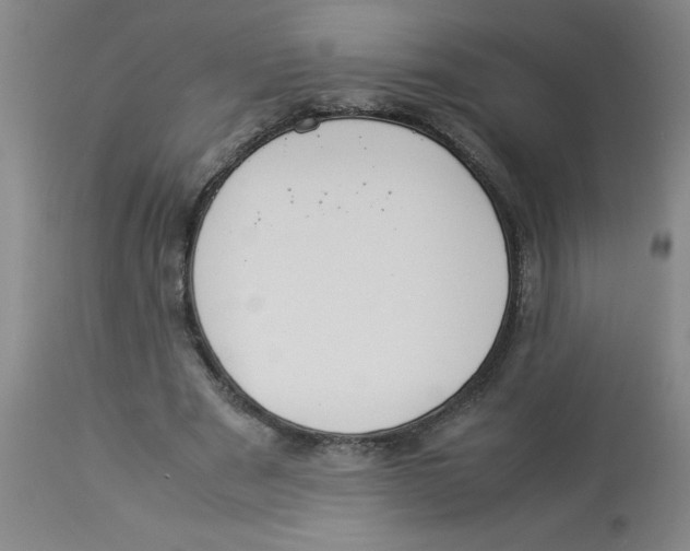 X0000112870489200909181828