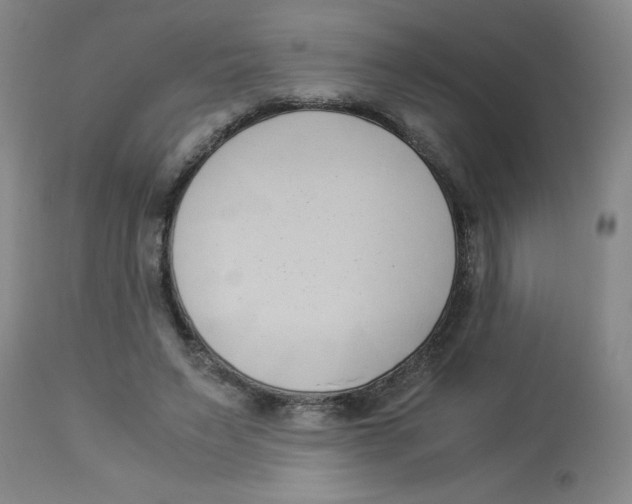 X0000112870495200909181827