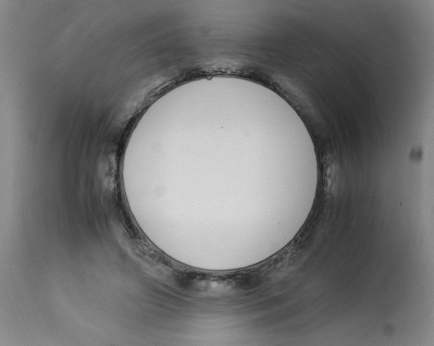 X0000112870498200909181827