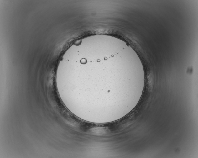 X0000112870499200909181827