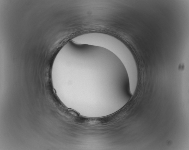 X0000112870501200909181827