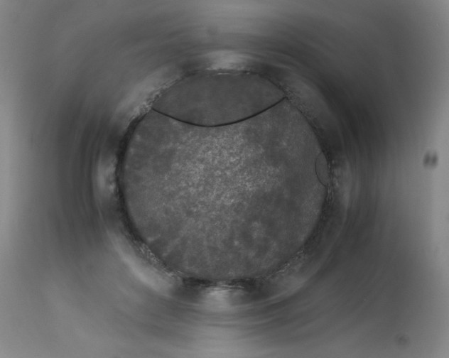 X0000112870504200909181827