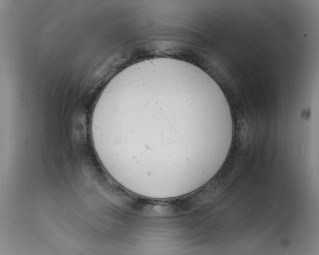 X0000112870506200909181827