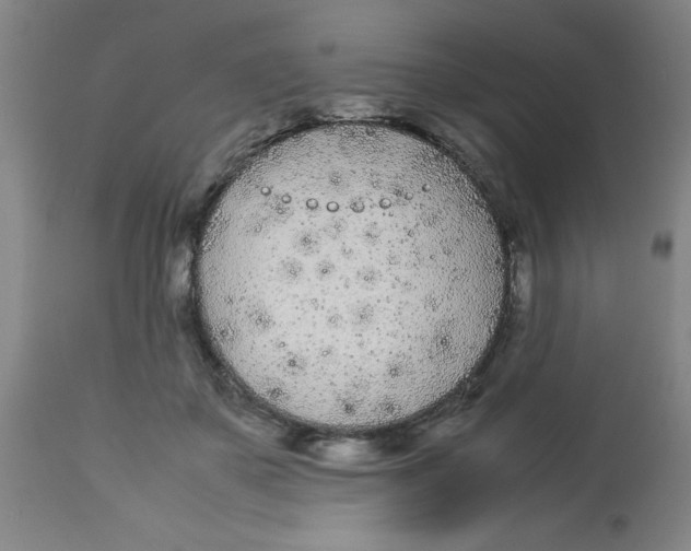 X0000112870507200909181827