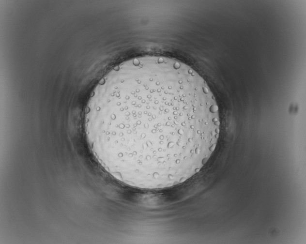 X0000112870511200909181827