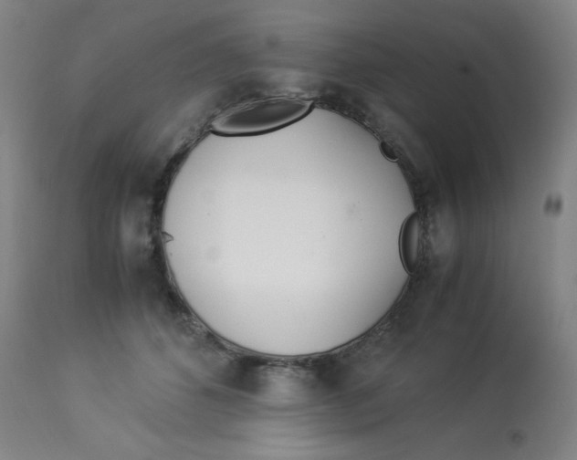 X0000112870512200909181827