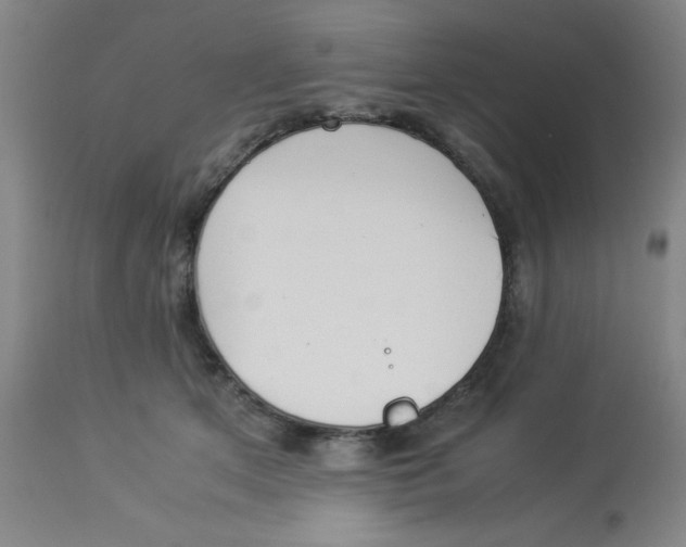 X0000112870513200909181827