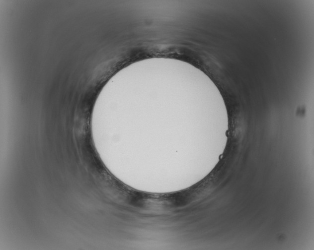 X0000112870515200909181827