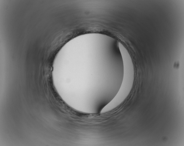 X0000112870517200909181827