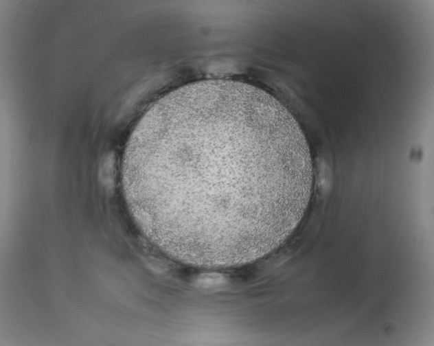 X0000112870519200909181827