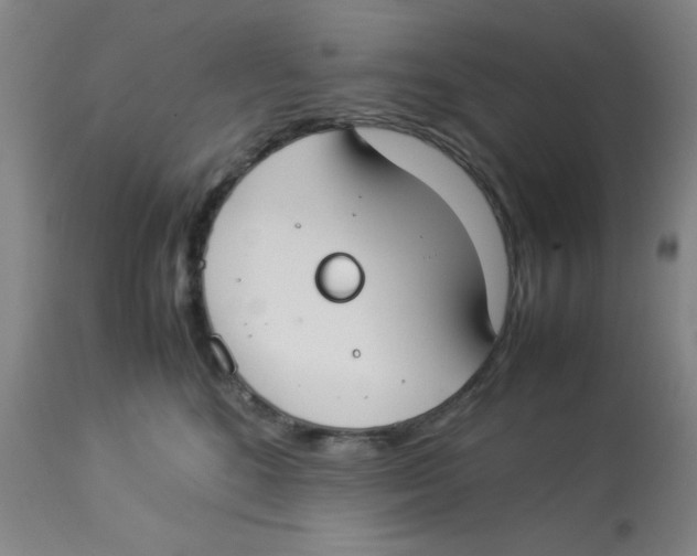 X0000112870520200909181827