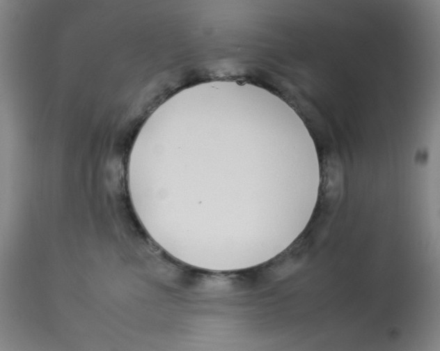 X0000112870523200909181827