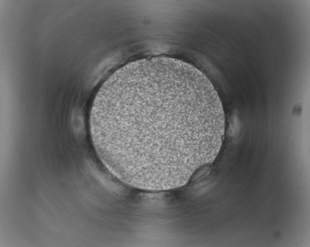 X0000112870524200909181827