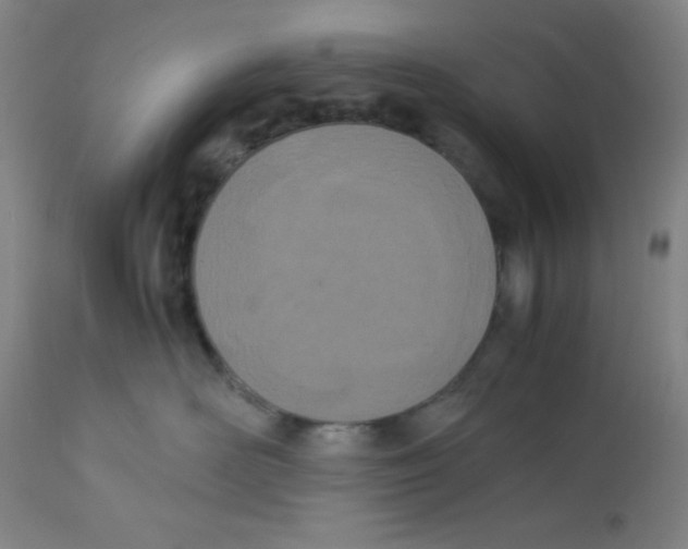 X0000112870526200909181827