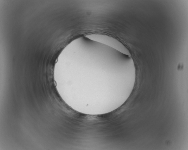 X0000112870528200909181827