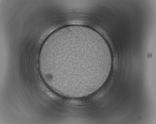 X0000112870529200909181826