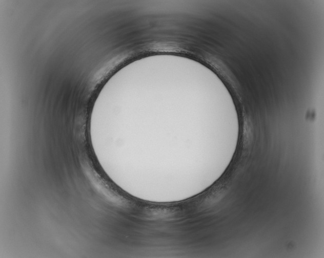 X0000112870533200909181826