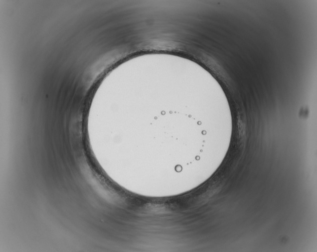 X0000112870534200909181826