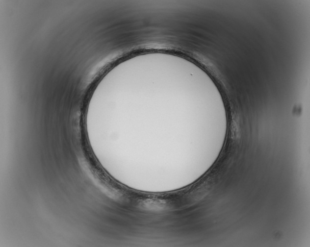 X0000112870535200909181826