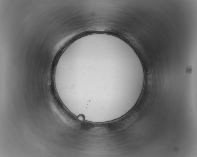 X0000112870536200909181826