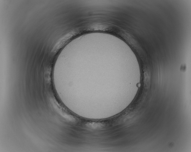 X0000112870537200909181826