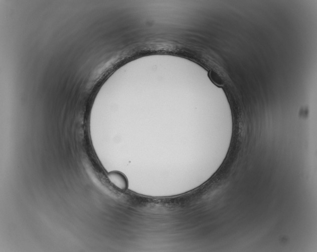 X0000112870538200909181826