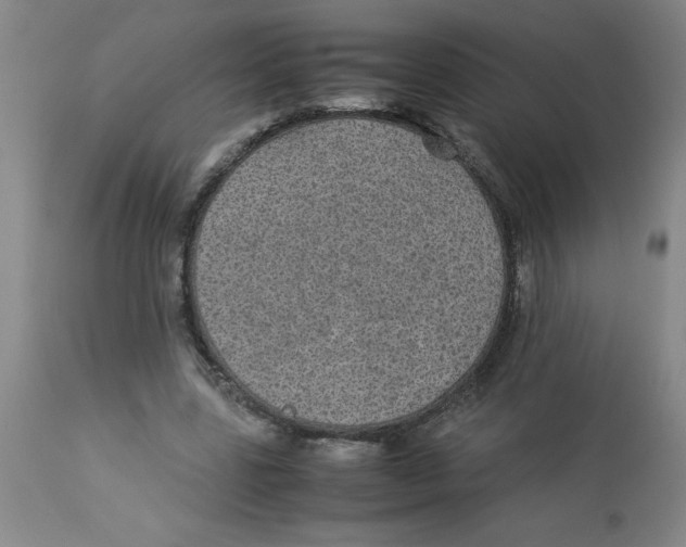 X0000112870539200909181826