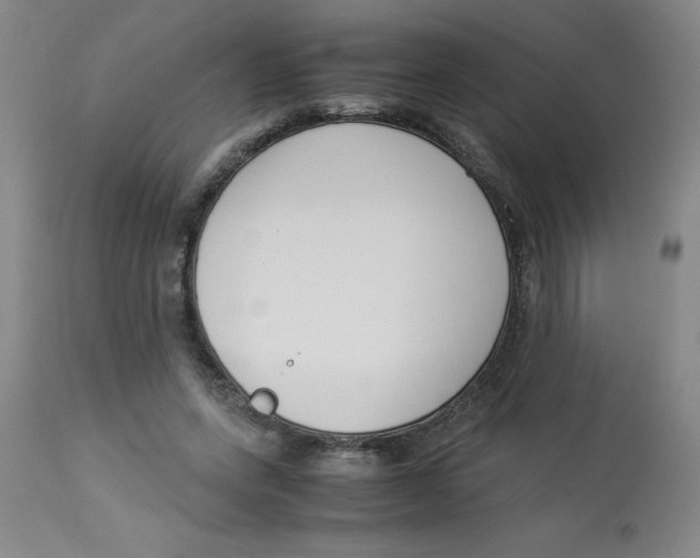 X0000112870543200909181826