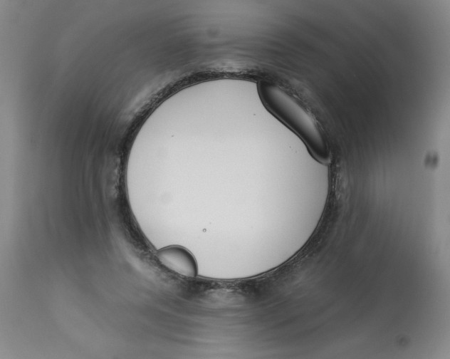 X0000112870544200909181826