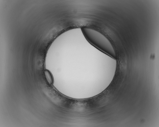 X0000112870546200909181826