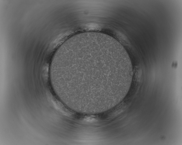 X0000112870550200909181826