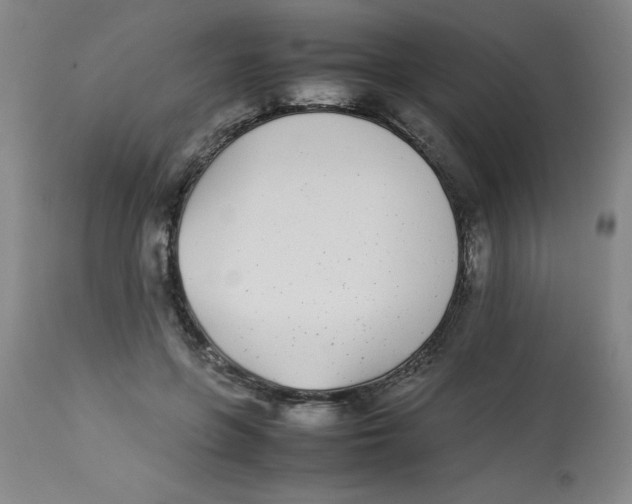 X0000112870551200909181827