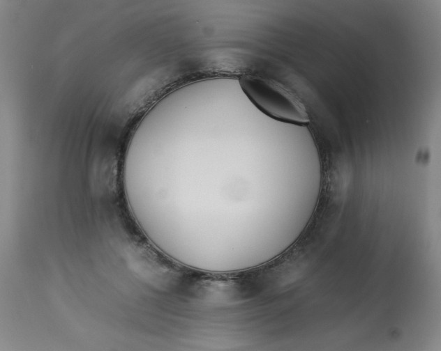 X0000112870552200909181827