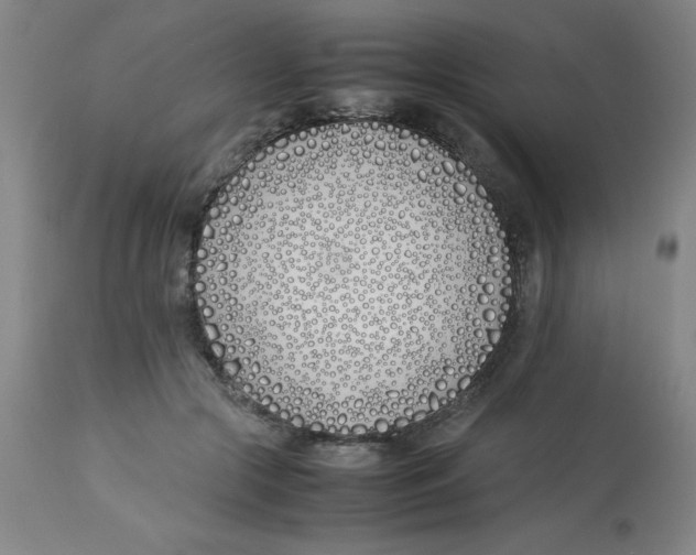 X0000112870553200909181827