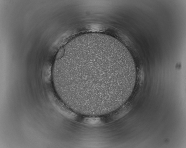 X0000112870554200909181827