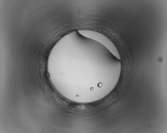 X0000112870558200909181827