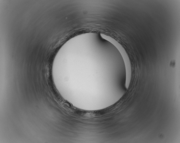 X0000112870562200909181827