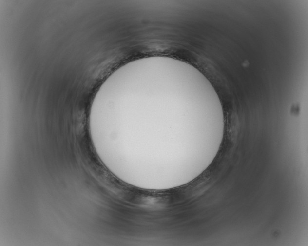 X0000112870563200909181827