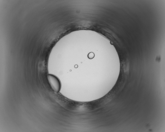 X0000112870564200909181827