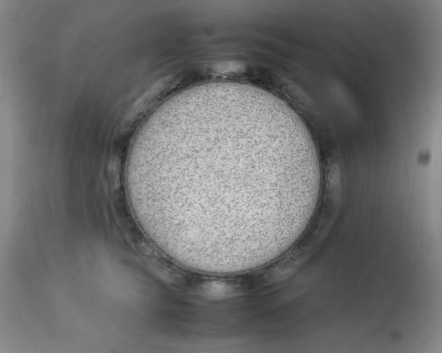 X0000112870565200909181827