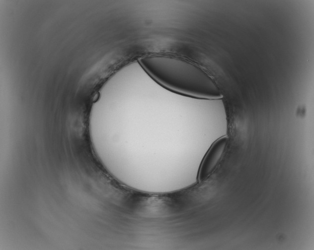 X0000112870566200909181827