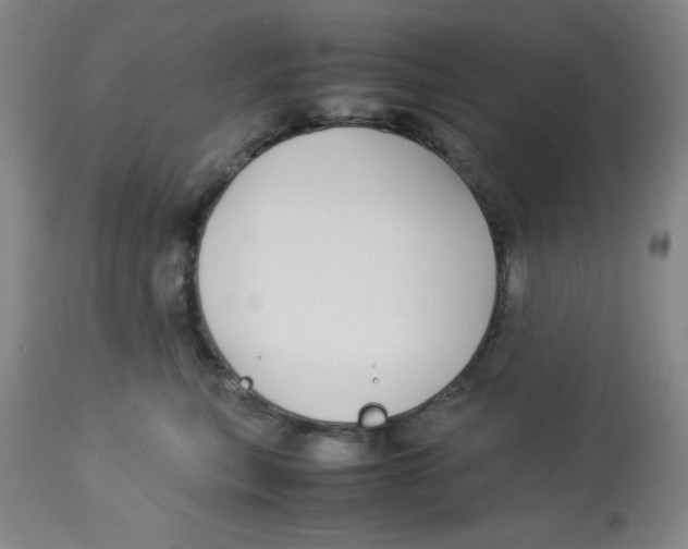 X0000112870567200909181827