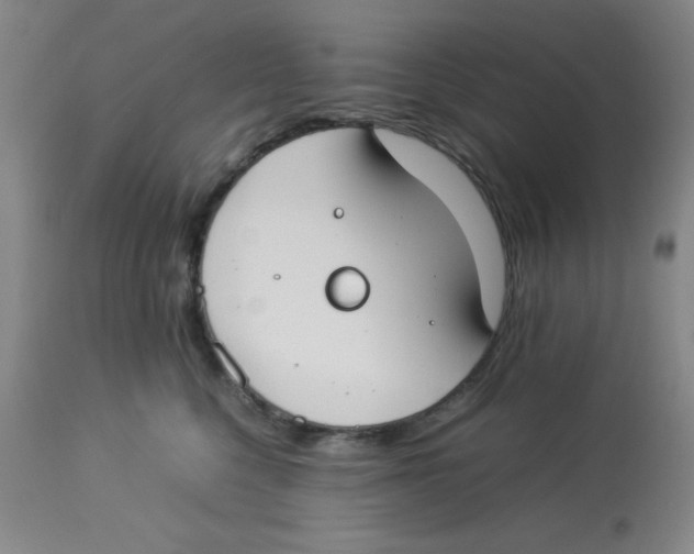 X0000112870568200909181827