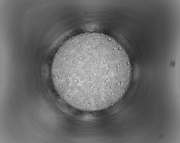 X0000112870569200909181827